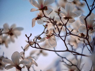 F1D732AC-A5C6-4B42-92C8-3A27219398B2/L0/001