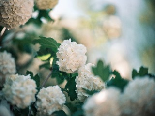 6891F0CC-EC7C-4015-905A-57B259DD586A/L0/001