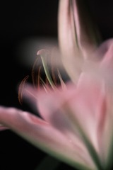 776E1372-A1D8-430C-8759-DBFA649426CD/L0/001