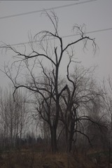 3058529