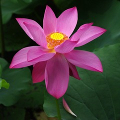 100_2336.JPG