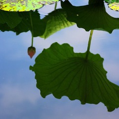 100_2345.JPG