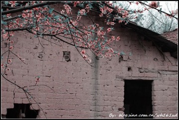 3cc0e010gbda4276a9605&690[1].jpg