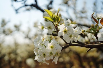 447681B0-86B2-435F-B21B-EC8705B3D655/L0/001