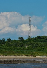 099B0D94-5404-423A-83DE-CD94AECA6A02/L0/001
