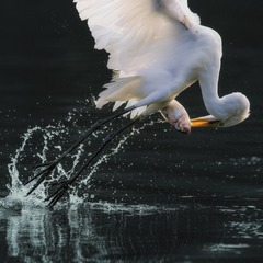 511871