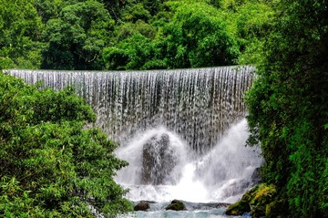 _FEN3893_1