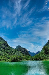 _FEN3913_1