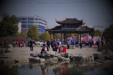 IMGP2972