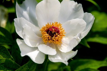 IMGP5969