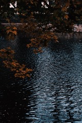 F5D0E2BD-1F3C-4B35-AB99-AFF3D280FC0B/L0/001