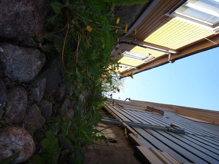 DSC00507.JPG