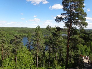 DSC00536.JPG