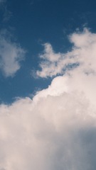 E9691AA8-F42B-4278-877A-14EC2781E831/L0/001