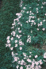 FEBA71AE-81F7-45F2-A88E-8BBD7E9D0EED/L0/001