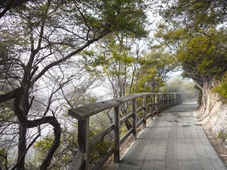 P1040483.JPG