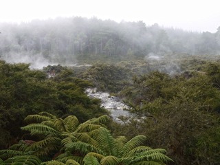 P1040464.JPG
