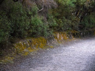 P1040550.JPG