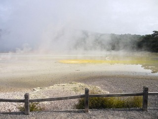 P1040551.JPG