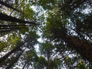 P1050018.JPG