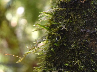 P1050088.JPG