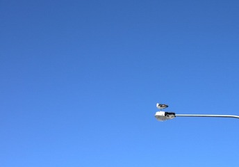 P1000359.JPG