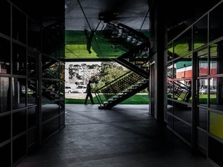 P1050779.jpg
