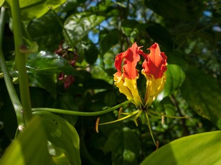 P1070037.jpg