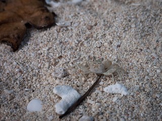 P1070046.jpg
