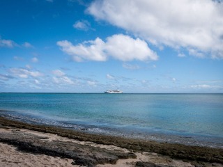 P1070047.jpg
