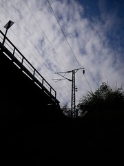 36236