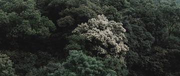 08F31643-2E17-4F9E-831A-1306AEDD7151/L0/001