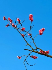 6288BBBB-24F5-4FC6-BCD0-693F73D2BC08/L0/001