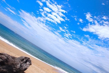 香水湾 (4).JPG