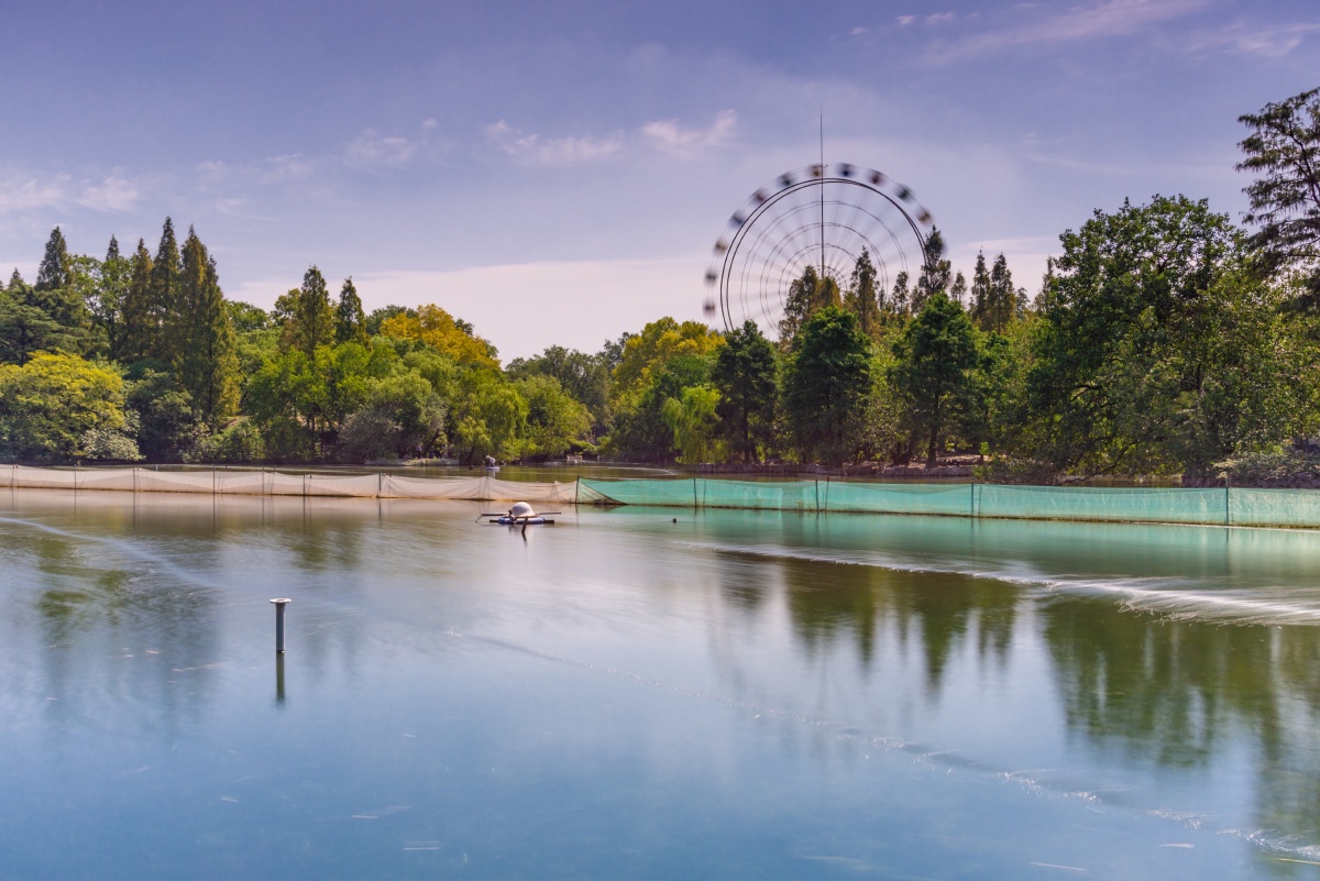 上海动物园天鹅湖摩天轮