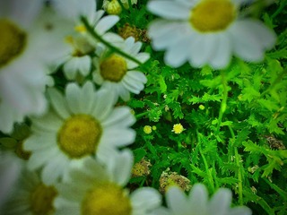 5BCDC4EB-63EA-4309-A5B9-902801B22025/L0/001