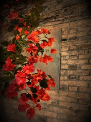 35D9BE84-BD50-4C03-8068-CAF7CCC0CE25/L0/001