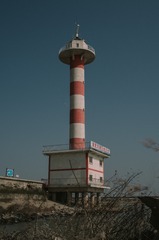 1000066264