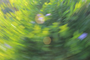 B8DFE4B3-8511-4B4B-BEEE-875F321D180C/L0/001