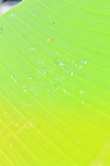 99734DB2-A7AE-459F-9170-C55D54EF6264/L0/001