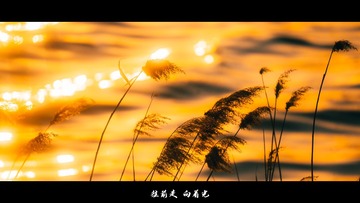 A8B6A19E-36C0-4609-A0BB-2D63C448E5AC/L0/001