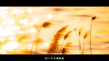 FD457818-08A3-4652-8DE3-31FC8C11A9F9/L0/001