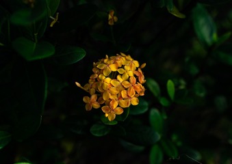 908259