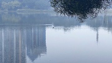 23075
