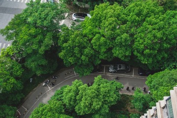 C20A8E76-45EA-4647-B765-B67DDB994007/L0/001