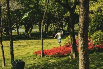 6D3A7EFC-4365-48C5-983E-A968DF052DE6/L0/001