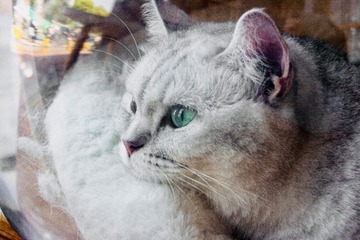 F96ECA4C-5033-4B2C-9747-26B33BF1392A/L0/001