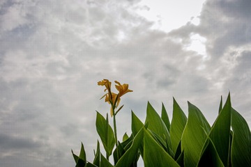 C595957C-3426-4D0E-A853-4CFA7F53F426/L0/001