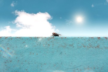8C184346-52F8-4EAC-9D29-EB64D54CC20F/L0/001