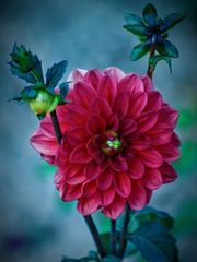 82CF3CFE-1DD7-4F27-8FE7-2C1BA151F3D0/L0/001
